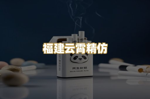 福建云霄精仿